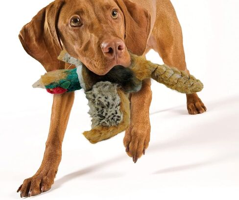 كل ذلك بالنسبة لـ PAWS Classic Pheasant Pet Toys ، Small in Kuwait