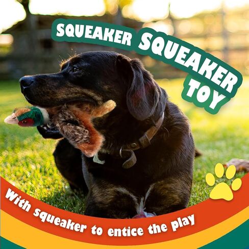 كل ذلك بالنسبة لـ PAWS Classic Pheasant Pet Toys ، Small in Kuwait