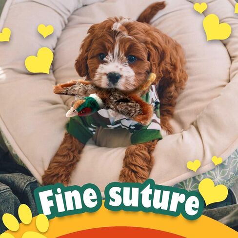 كل ذلك بالنسبة لـ PAWS Classic Pheasant Pet Toys ، Small in Kuwait