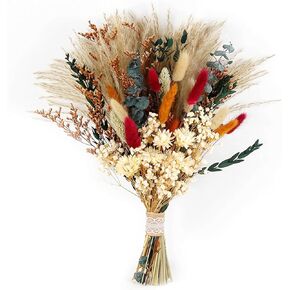 3500+ Dried Babys Breath Flowers Bouquet, Ivory White 17.2'' Real Natural Gypsophila Branches Dried Flowers Bulk for Vase, Wedding, Table Centerpiece Decor, DIY Wreath Floral, Crafts in Kuwait