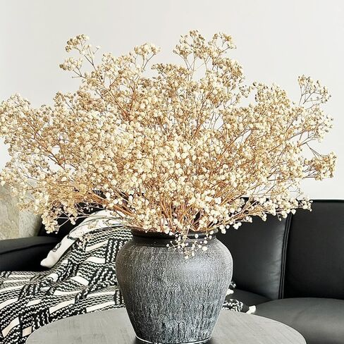3500+ Dried Babys Breath Flowers Bouquet, Ivory White 17.2'' Real Natural Gypsophila Branches Dried Flowers Bulk for Vase, Wedding, Table Centerpiece Decor, DIY Wreath Floral, Crafts in Saudi Arabia