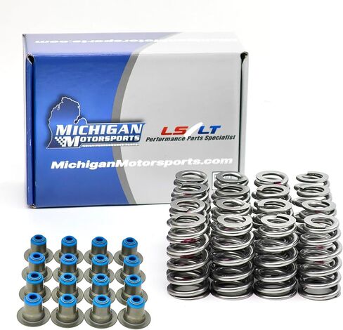 Michigan Motorsports .600" Beehive LS Valve Springs with Seals - Set of 16 - Fits 1997-2013 4.8L 5.3L 6.0L 6.2L LS Engines - LS1 LS2 LS3 LM7 L33 LQ4 L92 L96 in Saudi Arabia