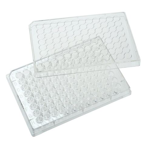 Celltreat 229195 96 صفيحة ثقافة بئر البوليسترين الصافية مع غطاء ، معقمة ، مساحة نمو خلايا 0.33 سم 2 ، قاع مسطح ، حزمة فردية (حزمة 50) in Kuwait