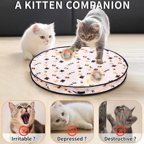 2 عبوات لعبة Cat Toy Ball-ألعاب القطط الأوتوماتيكية القابلة لإعادة الشحن للقطط الداخلية ، لعبة الصيد ذاتية التدوير مع شحن محرك هادئ وشحن USB-C in Kuwait