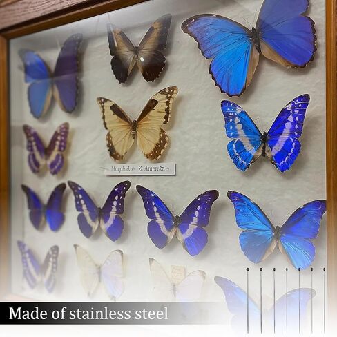 350 Pcs Stainless Steel Insect Pins, Specimen Entomology Pins 7 Sizes Entomology Supplies with Vials and Labels Butterfly Collection Needles for Butterflies, Dragonfly Collections in Saudi Arabia