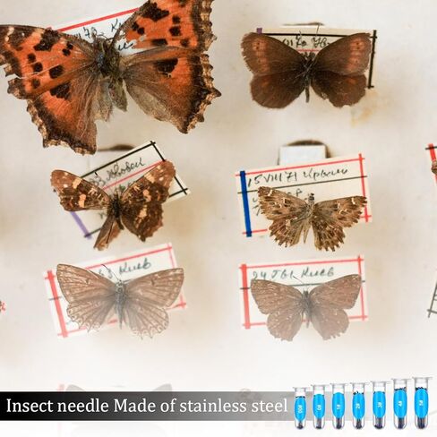 350 Pcs Stainless Steel Insect Pins, Specimen Entomology Pins 7 Sizes Entomology Supplies with Vials and Labels Butterfly Collection Needles for Butterflies, Dragonfly Collections in Saudi Arabia
