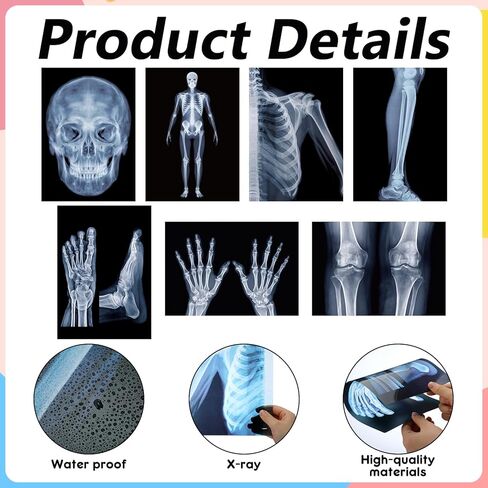 FunooFuno 7 Pcs X-Ray Science Education Package Bones X-Rays for Human Anatomy and Bone Parts Teaching Aids for Medical Workers is Suitable for Light Table and Lamp Fittings in Kuwait