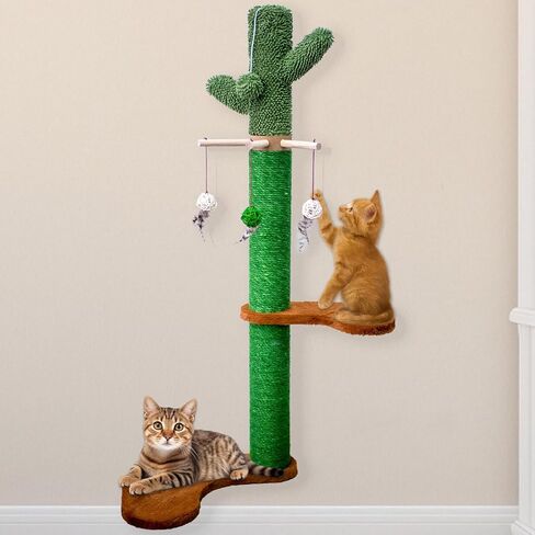 Meowooou 2pcs Cat Window Steps Cat Window Shelf Cups Cancting Stair Cat Perch Perch Perch Set Date Date For Window Sill Sturdy Window Step للقطط الداخلية in Kuwait