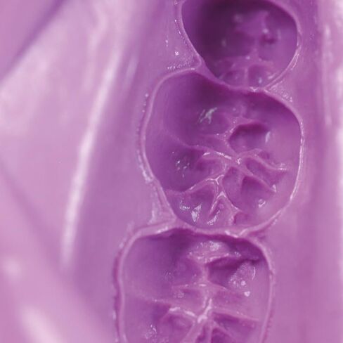 1.1Lb Cavex Cream Alginate Fast Set Dust-Free (500g) Violet, Easy Mixing in Kuwait