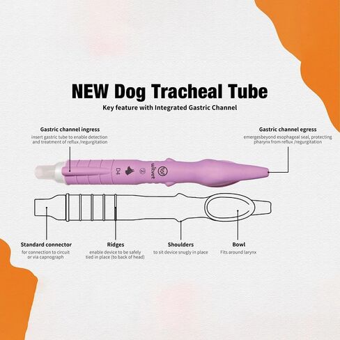 Vofeat Pet Veterinary Tracheal Blind Tube Kit for Dogs Support Various Types of Dogs Weighing 2-26 kilograms Direct use Without The Need for Endoscopy with a gastric Tube Inserted (D3) in Saudi Arabia