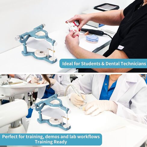 Annhua Dental Articulator Magnetic Dentist Articulator Denture with 6 Metal Plates and 2 Allen Keys, Large Size Type C Alloy Articulators for Dentures Laboratory, and Students Learning in Saudi Arabia