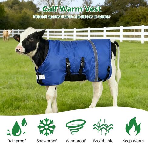 2 PCS Calf Goat Blanket Jacket, Thick Calf Goat Coat for Winter, Oxford Cloth Warming Blanket, Double Sided Waterproof, Windproof Livestock Blanket for Cold Weather (Blue) in Saudi Arabia