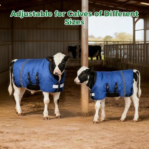 2 PCS Calf Goat Blanket Jacket, Thick Calf Goat Coat for Winter, Oxford Cloth Warming Blanket, Double Sided Waterproof, Windproof Livestock Blanket for Cold Weather (Blue) in Saudi Arabia