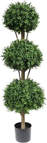 Momoplant 4.7ft Topiary Triple Triple Trees - أشجار توبيري خشب البوس in Kuwait