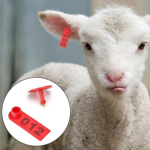 50pcs Farm Animal Ear Tags Numbered 001-050 Livestock Identification for Cattle Cows Hogs Pigs Sheep Goats (50, Small-Red) in Saudi Arabia