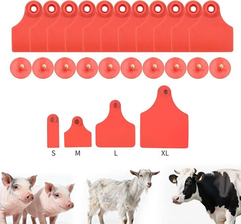 50pcs Farm Animal Ear Tags Numbered 001-050 Livestock Identification for Cattle Cows Hogs Pigs Sheep Goats (50, Small-Red) in Saudi Arabia
