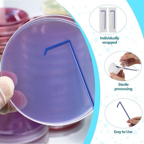 Saysurey 200 Pcs Cell Spreader, L Shape Aseptic Disposable Polypropylene Spreaders, Individually Wrapped for Laboratory Scientific Microbiology Research Use in Saudi Arabia