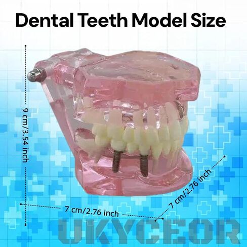 UKYCEORA Dental Teeth Model-Dental Hygiene Student Must Haves,Teeth Practice,Typodont Teeth Model,Dental Assistant Must Haves.（Repair） in Saudi Arabia