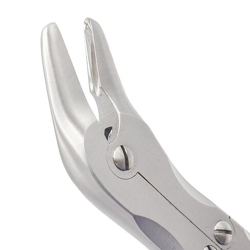 Stellmacher Echlin Double Action Tool 23 cm, 2-4 mm Jaw Options, Stainless Steel Reusable Precision Instrument (4 mm) in Saudi Arabia