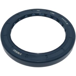 KNKQZXVDF أختام الزيت BABSL مقاس الطراز 75x100x11/11.5 مم. in Kuwait