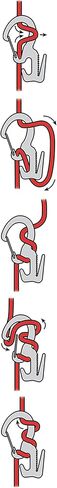 Carabiner Clip/Rope Tightener, 2-3/4 In. in Saudi Arabia