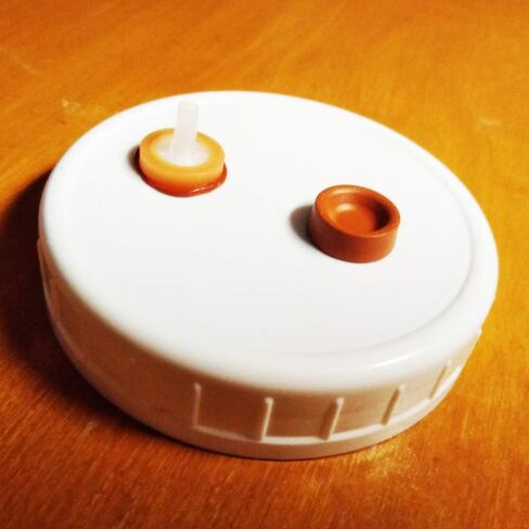Liquid Culture Jar Lids 6 Pack - Autoclavable Plastic Wide Mouth Jar Lids with Heavy Duty Syringe Injection Port for Mushroom Cultivation in Saudi Arabia