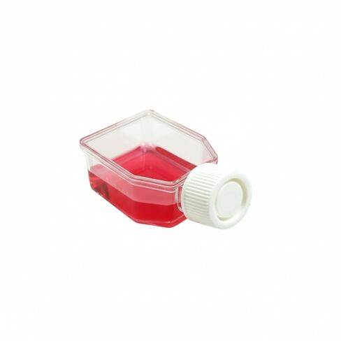 SPL Cell Culture Flask 12.5 cm² (T12.5) Plug Cap, Sterile, 200/Case (Treated) in Saudi Arabia