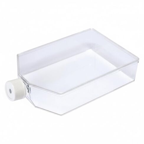 SPL Cell Culture Flask 225 cm2 (T225) Filter Cap Non-Treated, Sterile 25/Case in Kuwait