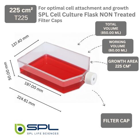 SPL Cell Culture Flask 225 cm2 (T225) Filter Cap Non-Treated, Sterile 25/Case in Kuwait