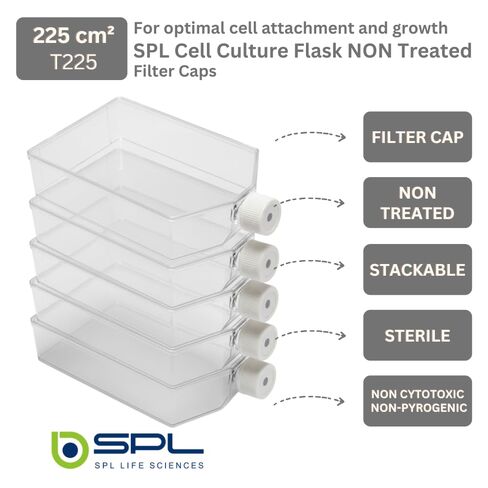 SPL Cell Culture Flask 225 cm2 (T225) Filter Cap Non-Treated, Sterile 25/Case in Kuwait