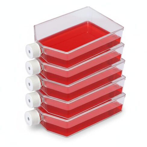 SPL Cell Culture Flask 225 cm2 (T225) Filter Cap Non-Treated, Sterile 25/Case in Kuwait