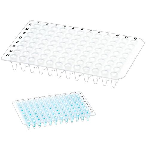 ألواح CryoKing 0.1 مل 96-Well PCR، غير متعرجة، لوحة PCR من مادة البولي بروبيلين الشفافة، 100 لوحة أنابيب جدارية رفيعة للغاية، خالية من DNase/RNase in Saudi Arabia