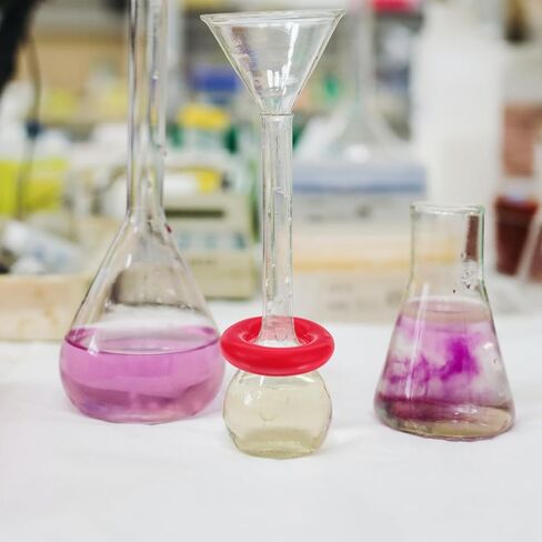 iplusmile 2 حزمة حلقات وزن القارورة 48 مم، مثبتات الرصاص المطلية بالفينيل للأواني الزجاجية Erlenmeyer، ثقل الموازنة المختبري للحمام المائي، ملحقات تجربة الكيمياء in Kuwait