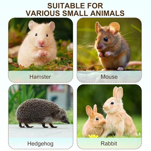 قفص فأر مختبر من روتولارك، قفص تربية قوارض الفئران المختبرية، قفص حيوانات صغير، قفص تربية الفأر والفطام (M) in Kuwait
