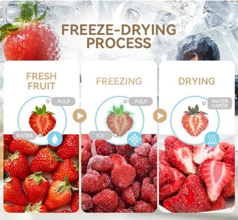 Freeze Dryer for Home Use, Advanced Vacuum Freezer for Freeze Drying Fruits, Vegetables, Meat and Snacks, Perfect for Daily Food Preservation Needs in Kuwait
