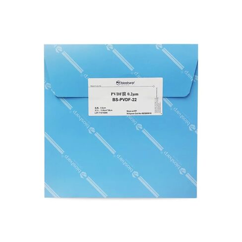 Laboratory Dedicated PVDF Membrane Western Blot Transfer Membrane 0.2µm/0.45µm 15cm*13.5cm(0.2 m 15cmx13.5cm) in Saudi Arabia