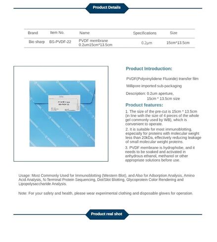 Laboratory Dedicated PVDF Membrane Western Blot Transfer Membrane 0.2µm/0.45µm 15cm*13.5cm(0.2 m 15cmx13.5cm) in Saudi Arabia