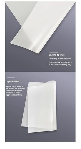 Laboratory Dedicated PVDF Membrane Western Blot Transfer Membrane 0.2µm/0.45µm 15cm*13.5cm(0.2 m 15cmx13.5cm) in Saudi Arabia