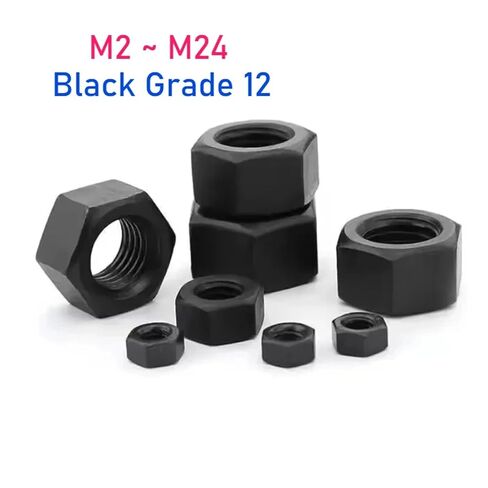 2-50pc Grade 12 Hex Nut M2-M24 Black Carbon Steel Hexagon(M16(2pcs)) in Saudi Arabia
