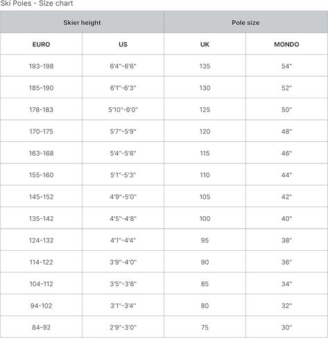 HEAD Junior Joy White Ski Poles in Saudi Arabia
