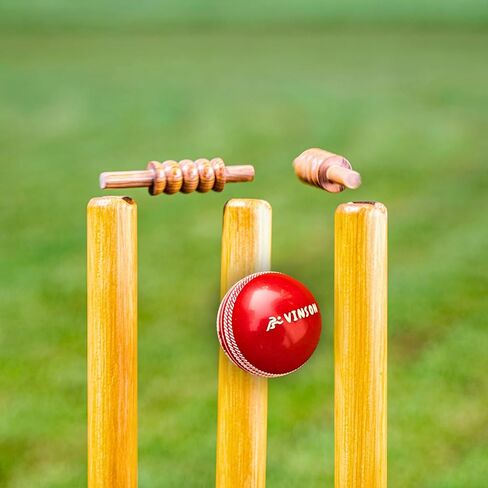 Vinson Junior Cricket Kit Set - Pack Includes Stumps, Wickets, Stands, Bat and Ball | Durable Constructions & Designed for Juniors | Indoor & Outdoor Cricket Playing Set for Kids | Birthday Gift in Kuwait
