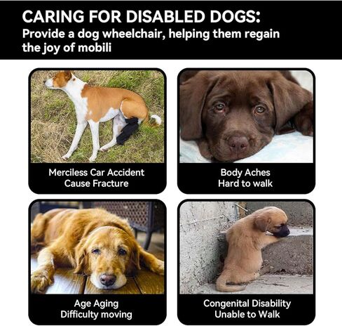 Dog Wheelchair for Back Legs,Adjustable Lightweight Aluminum Profile Pet Wheel Chair Has Added Hand-Carrying Assistance and Reflective Functions for Small Medium Dogs and Cats in Saudi Arabia