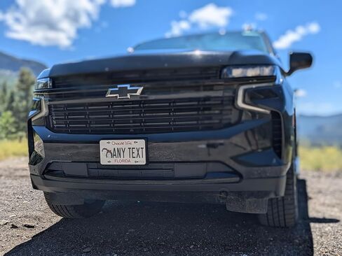 Personalized Florida License Plate, Choose Life or Regular Style Novelty Replica FL Custom Auto Tag in Saudi Arabia