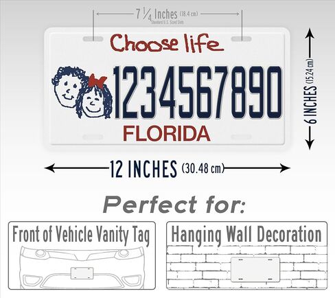 Personalized Florida License Plate, Choose Life or Regular Style Novelty Replica FL Custom Auto Tag in Saudi Arabia