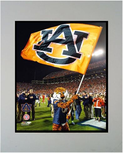 Encore Select 905-02 NCAA Auburn Tigers Logo Mat, 11-Inch by 14-Inch in Saudi Arabia