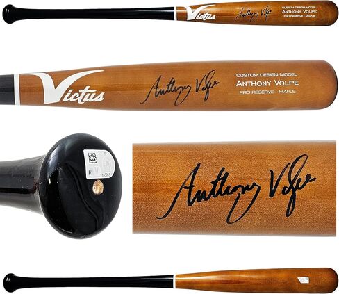 أنتوني فولبي موقعة من Brown Victus Player موديل Bat New York Fanatics Holo Stock #219042 in Kuwait