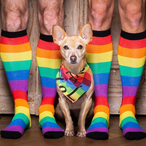 50 Pieces Pride Dog Bandanas Rainbow Dog Bandanas Holiday Dog Bandanas Triangle Dog Scarfs Bibs Rainbow Accessories for Small Medium Large Dogs in Saudi Arabia