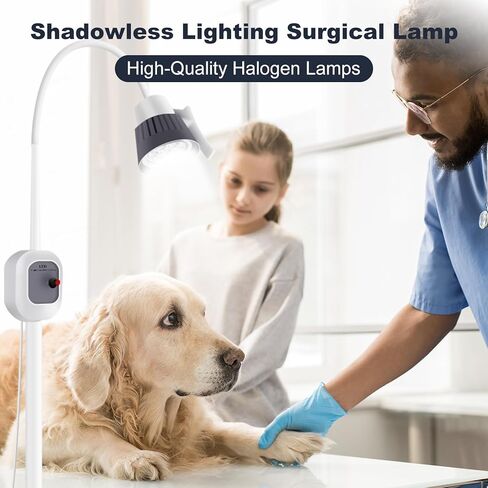 GSOIGSDKF 12W Surgical Examination Lamp w/Universal Wheels 360° Rotation Floor Stand Type Lamp Floor Stand Type LED Gooseneck Exam for Gynaecology, Outpatient, Stomatology, Ent in Saudi Arabia