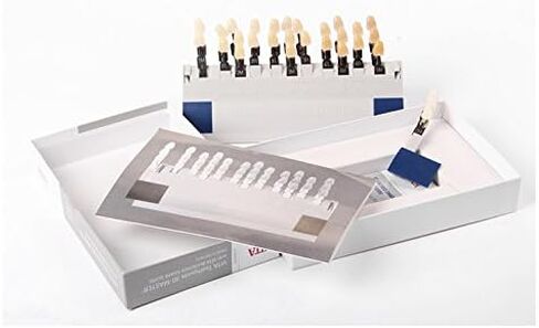 Vanaa Shade Guide 3-D Master Dental Teeth Whitening Shade Guide Chart 29 Colors in Saudi Arabia