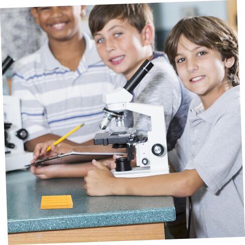 FELTECHELECTR 800Sheets Chromatography Filter Paper Strips for Humidity Testing Efficient Test Paper for Pigment Separation Chemistry Lab Experiments and Research Facilities in Kuwait